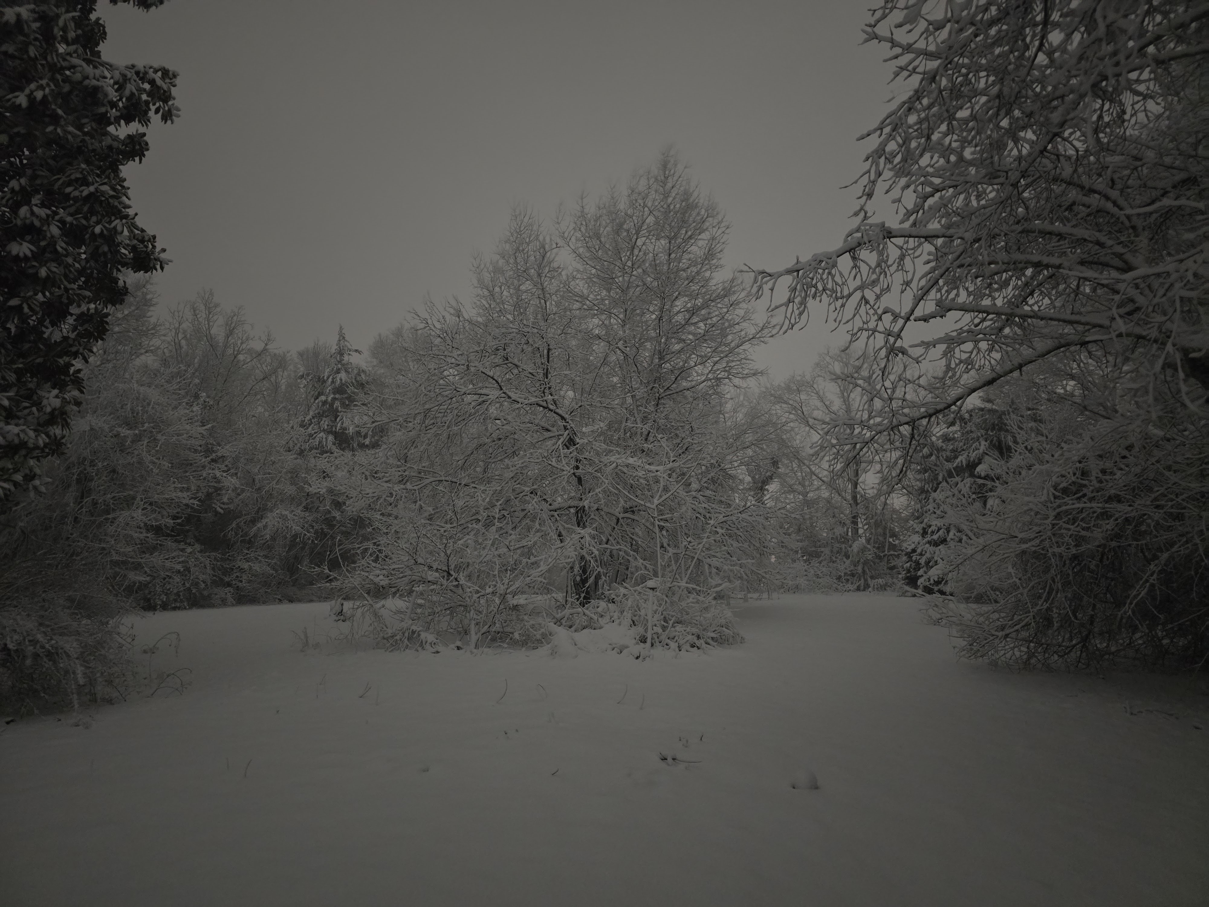 Winter evening in Hammonton